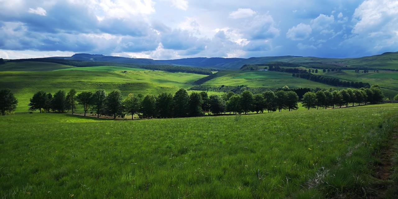 Amazian Mountain River Lodge Underberg Exteriör bild